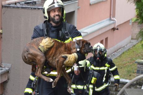 Sauvetage de personnes et d’animaux